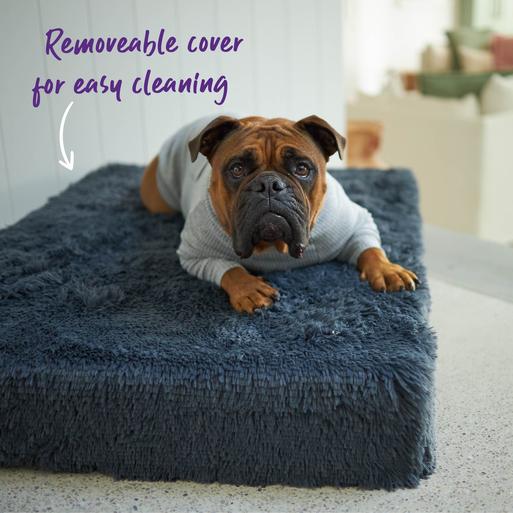 Grey soft shop dog bed