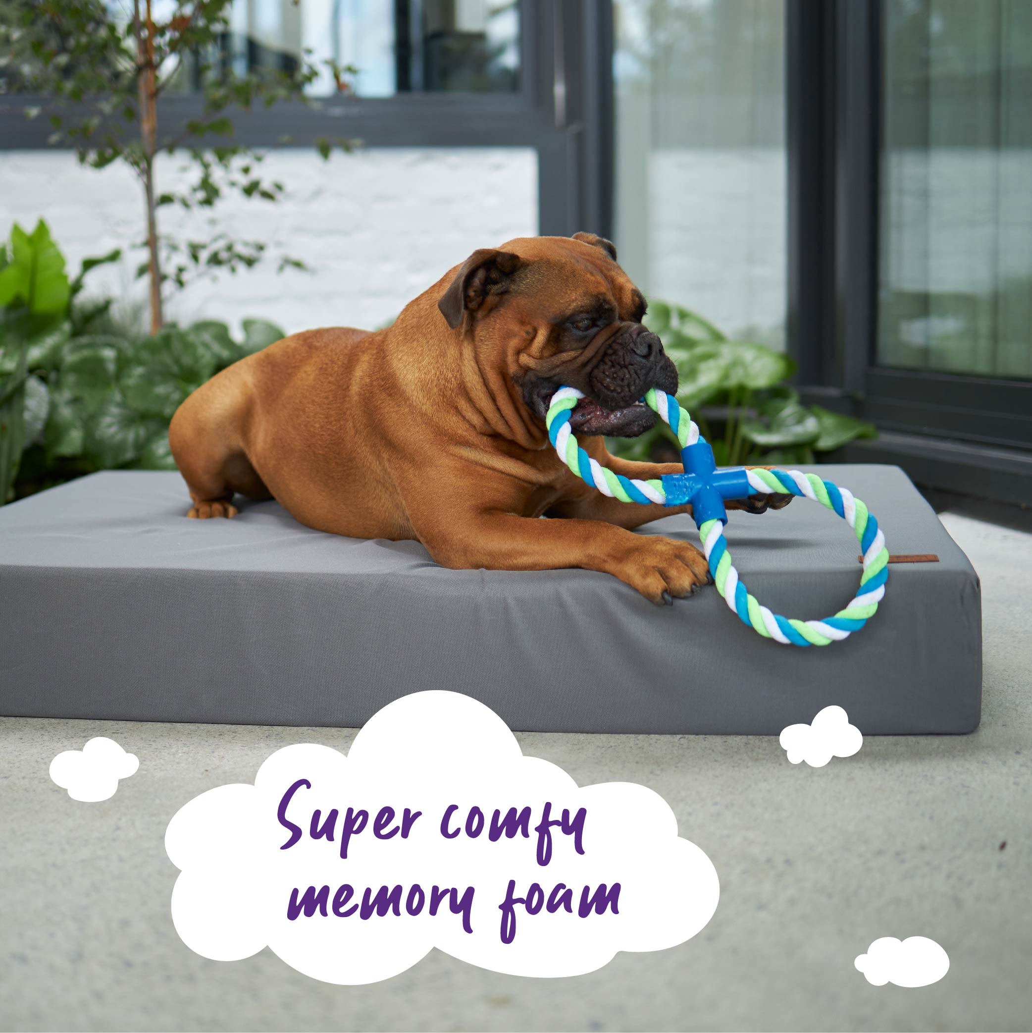 Slumber Dog Bed Slate
