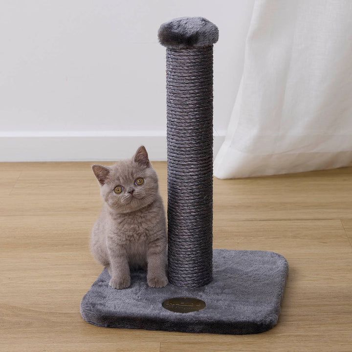 Cat Scratch Post - Small
