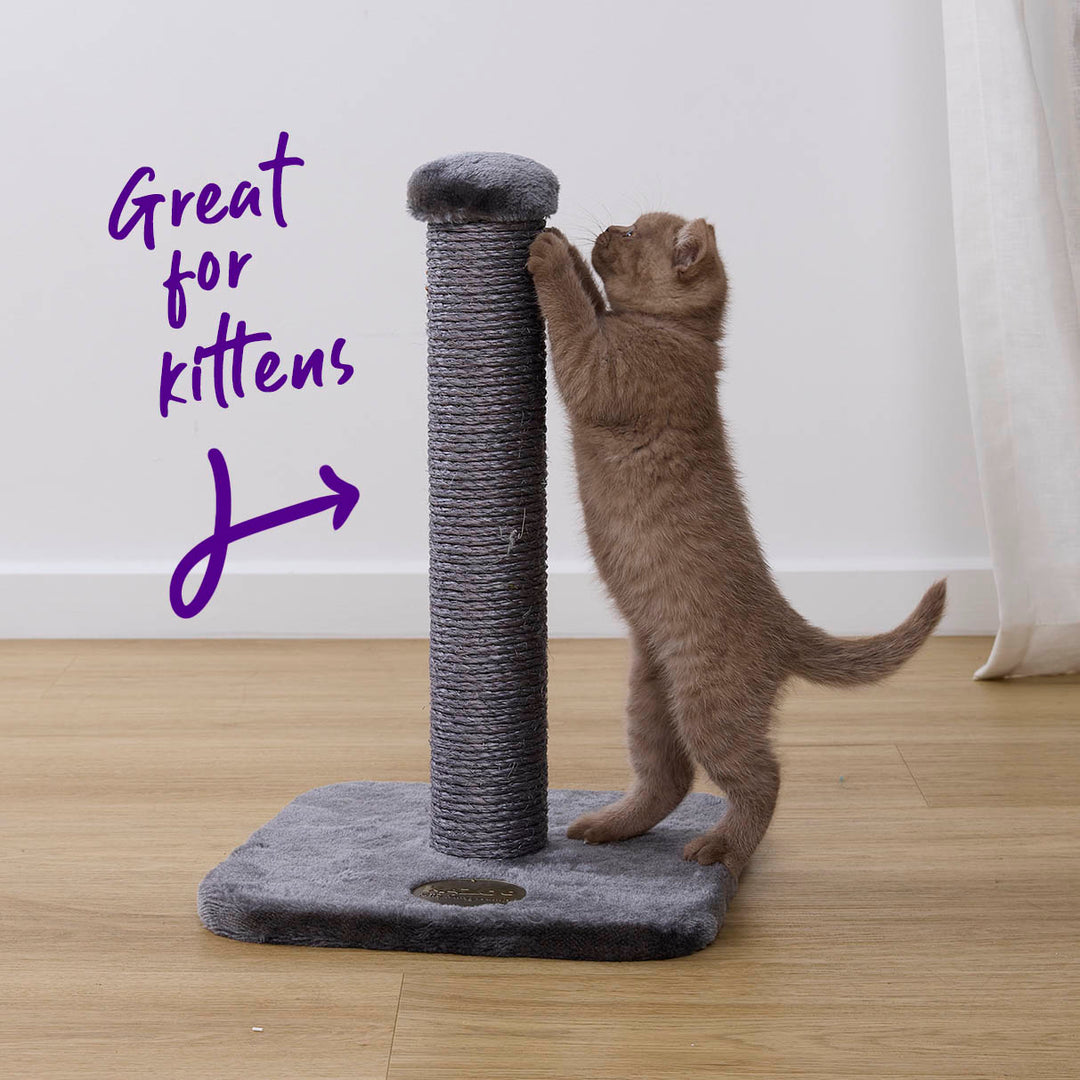 Cat Scratch Post - Small