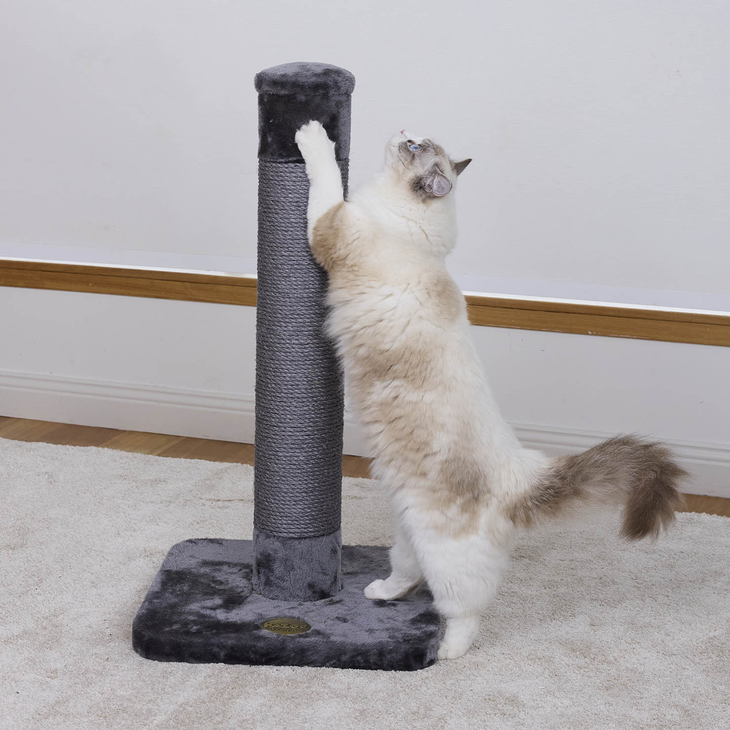 Cat Scratch Post - Medium – Kazoo Pet Co