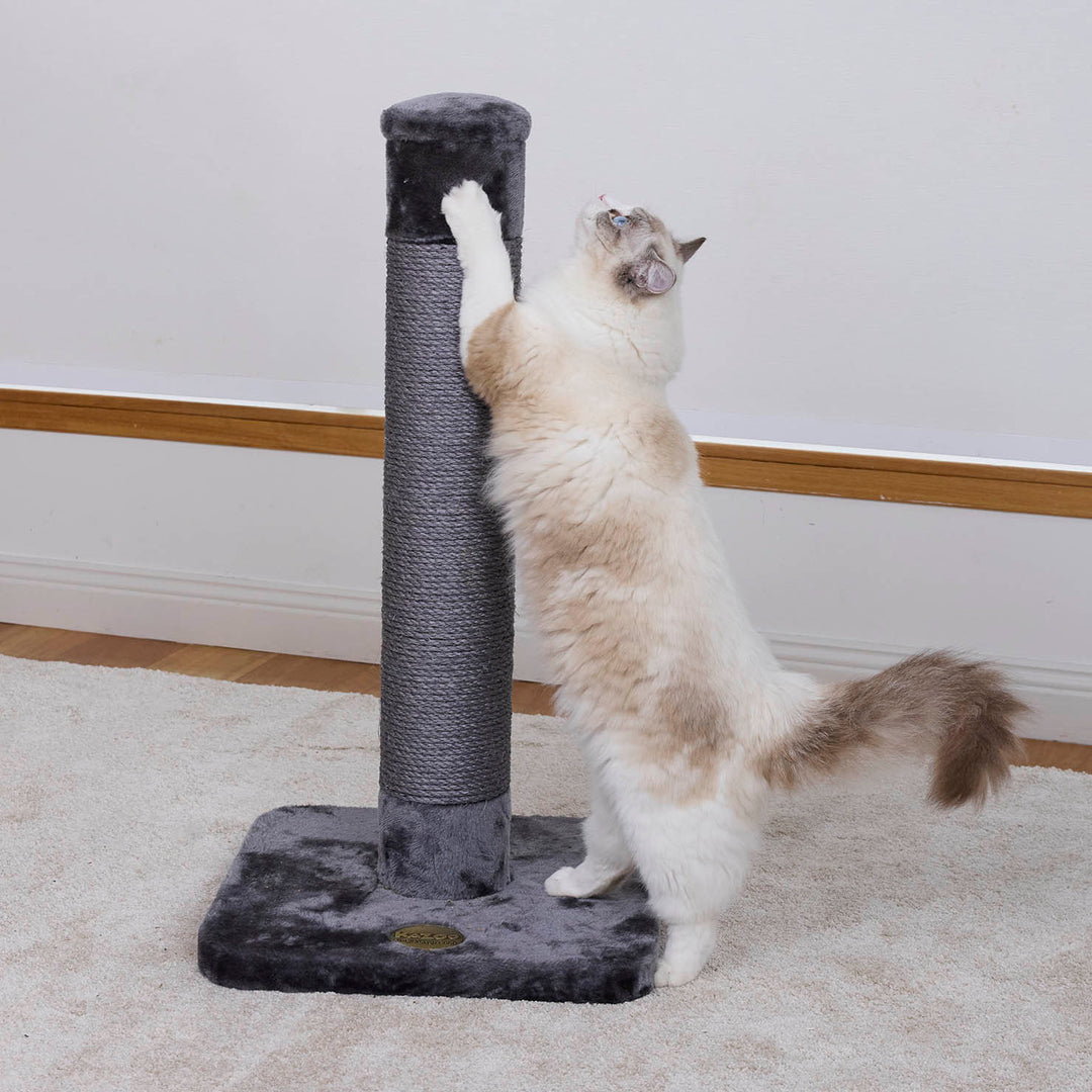 Cat Scratch Post - Medium