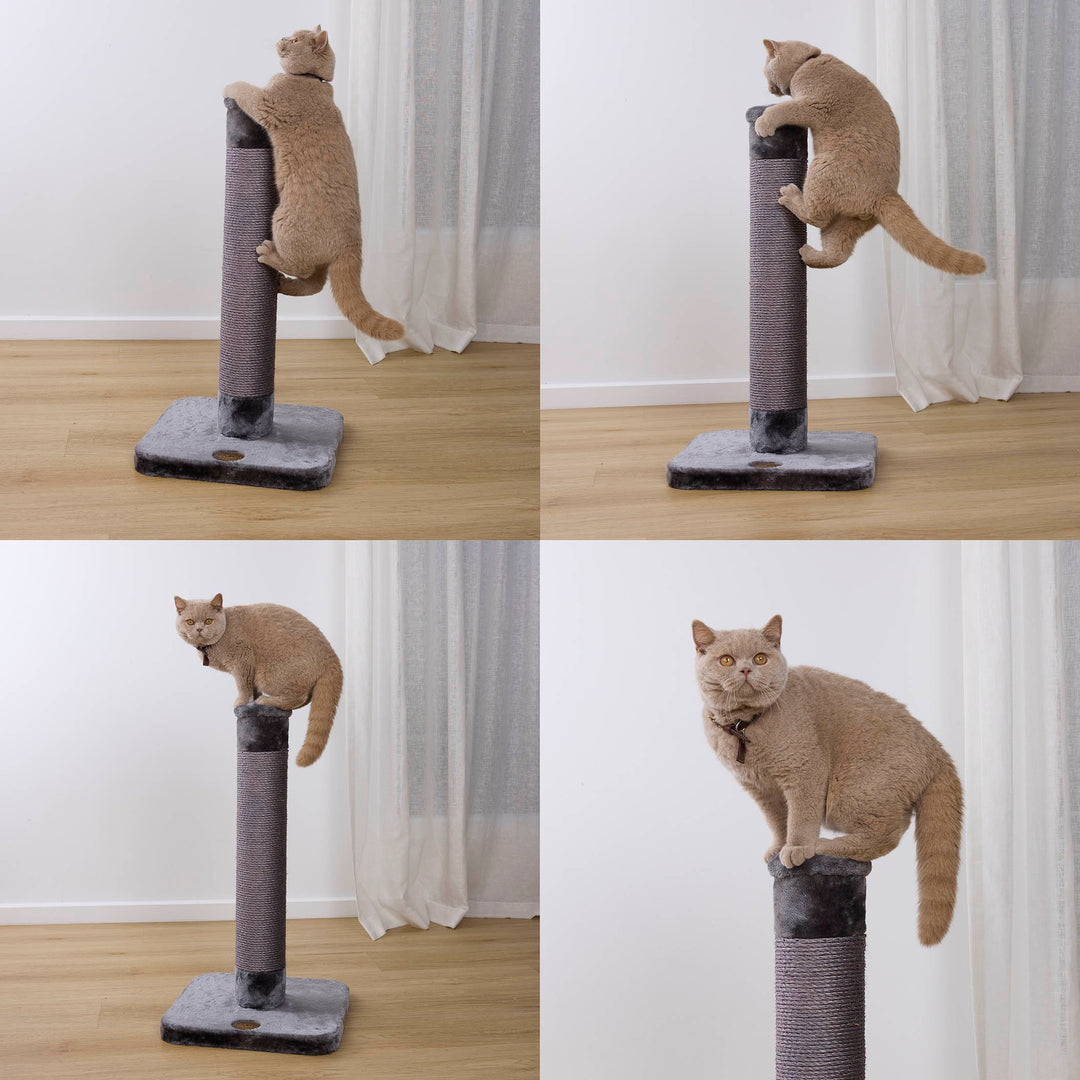 Cat Scratch Post - Medium