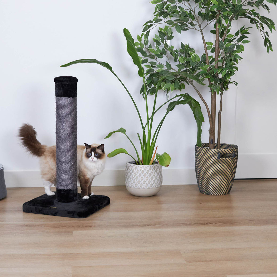 Cat Scratch Post - Medium