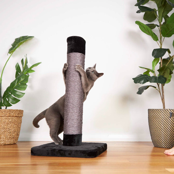 Cat Scratch Post - Medium