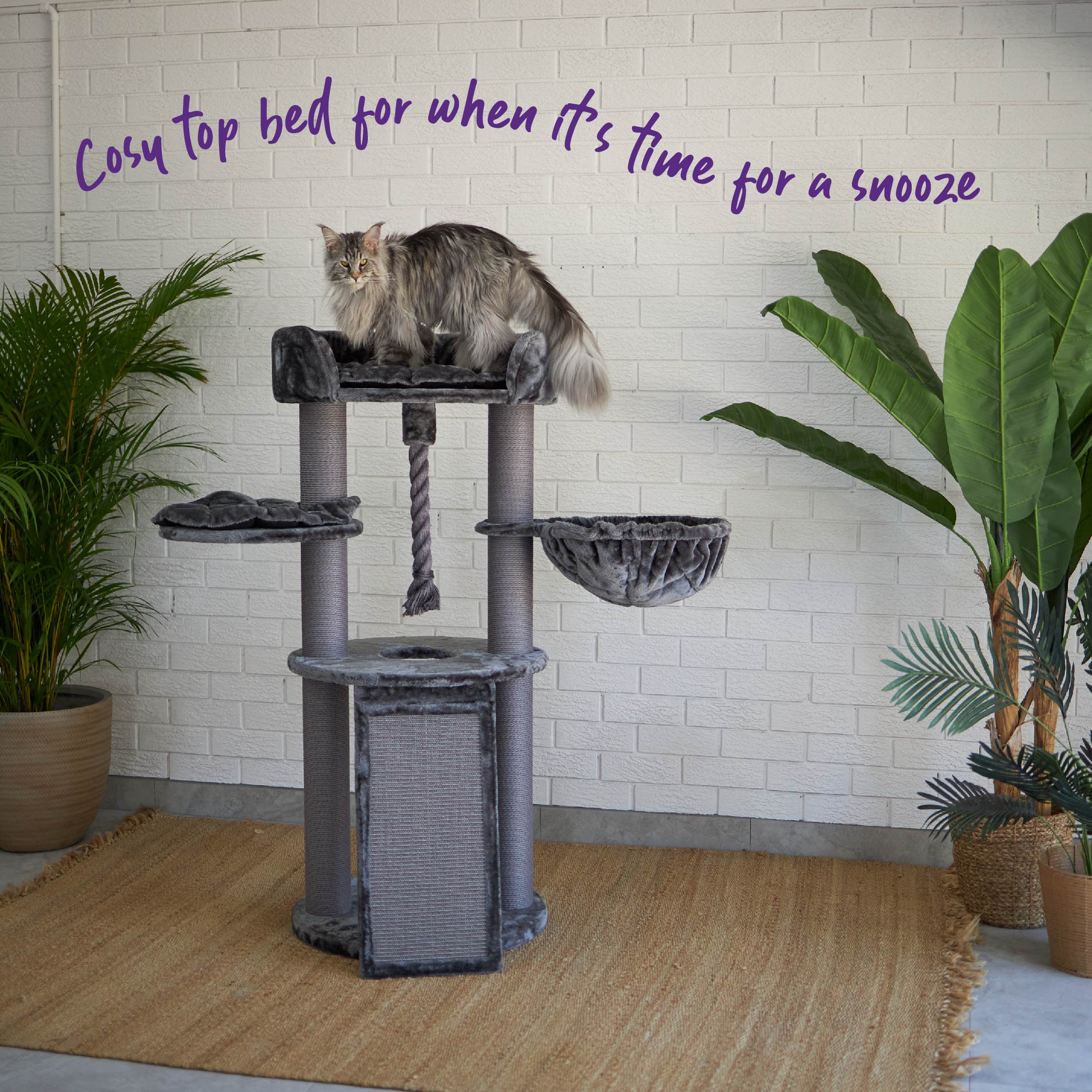 Eco cat best sale tree