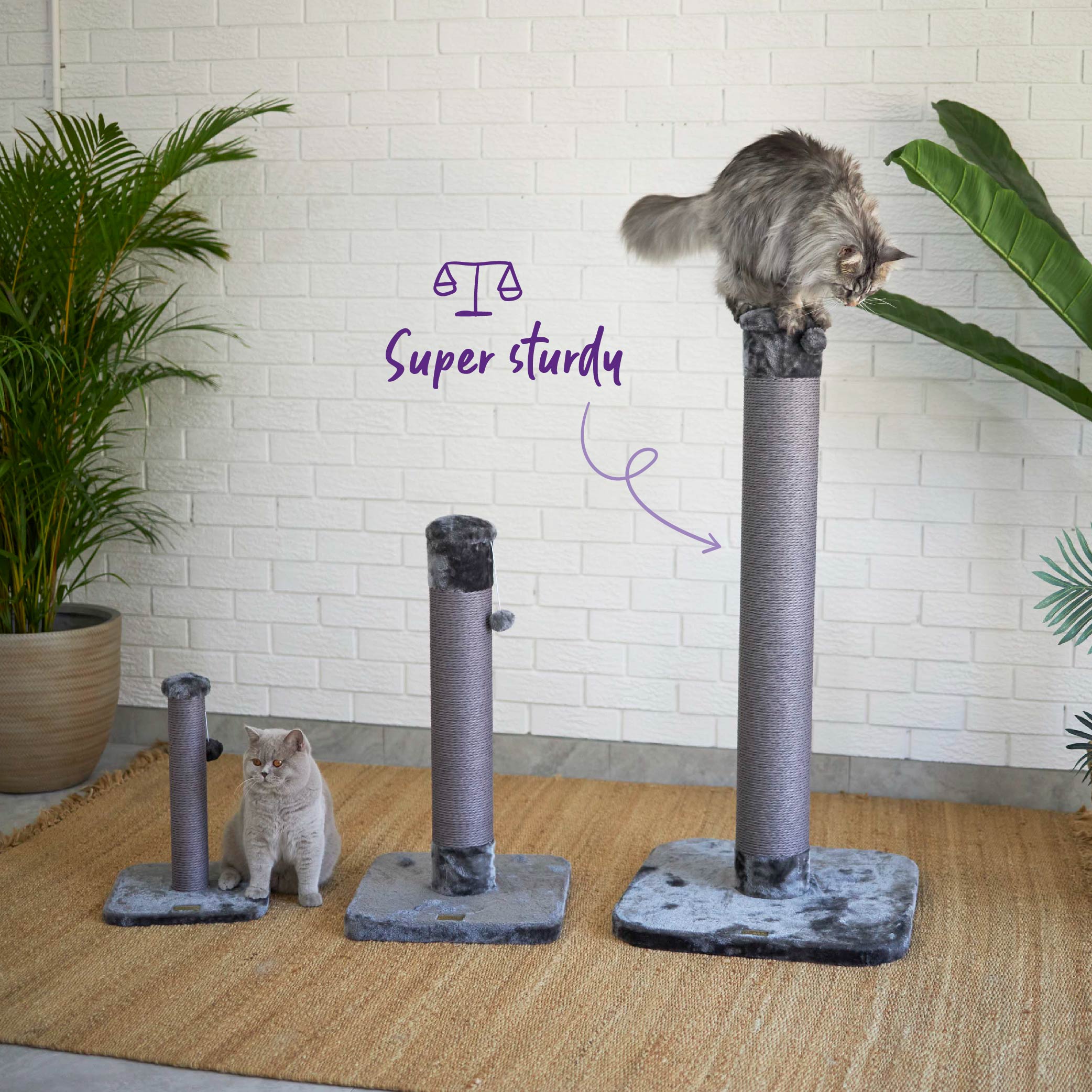 Small cat shop scratch post