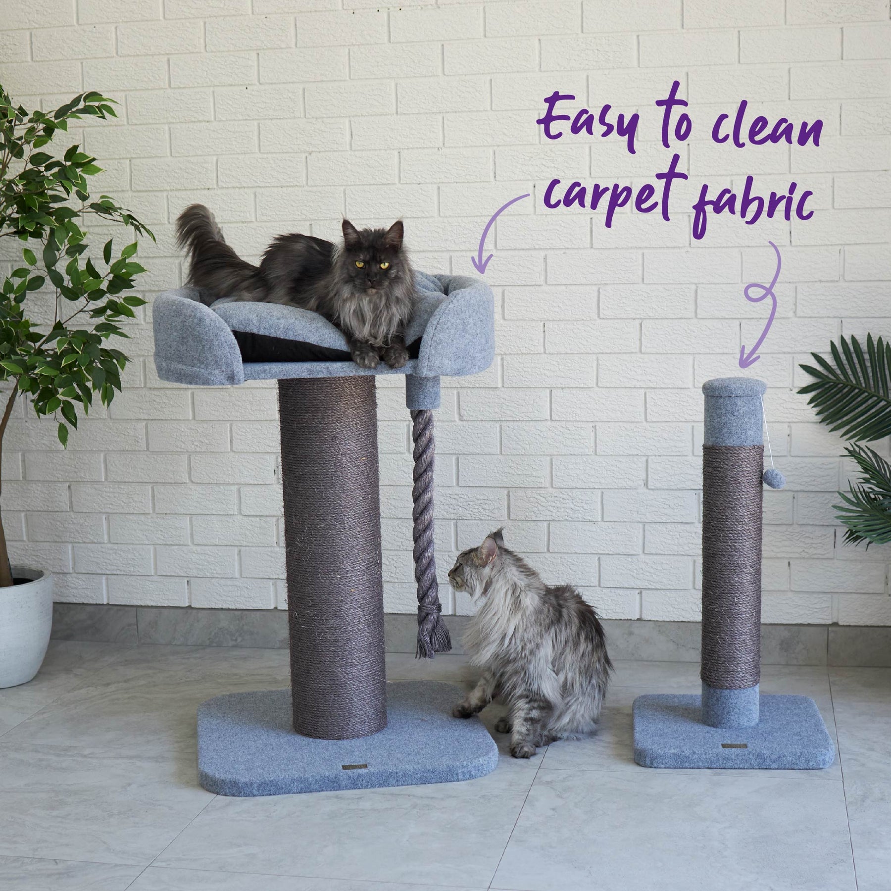 Easy cat scratching online post