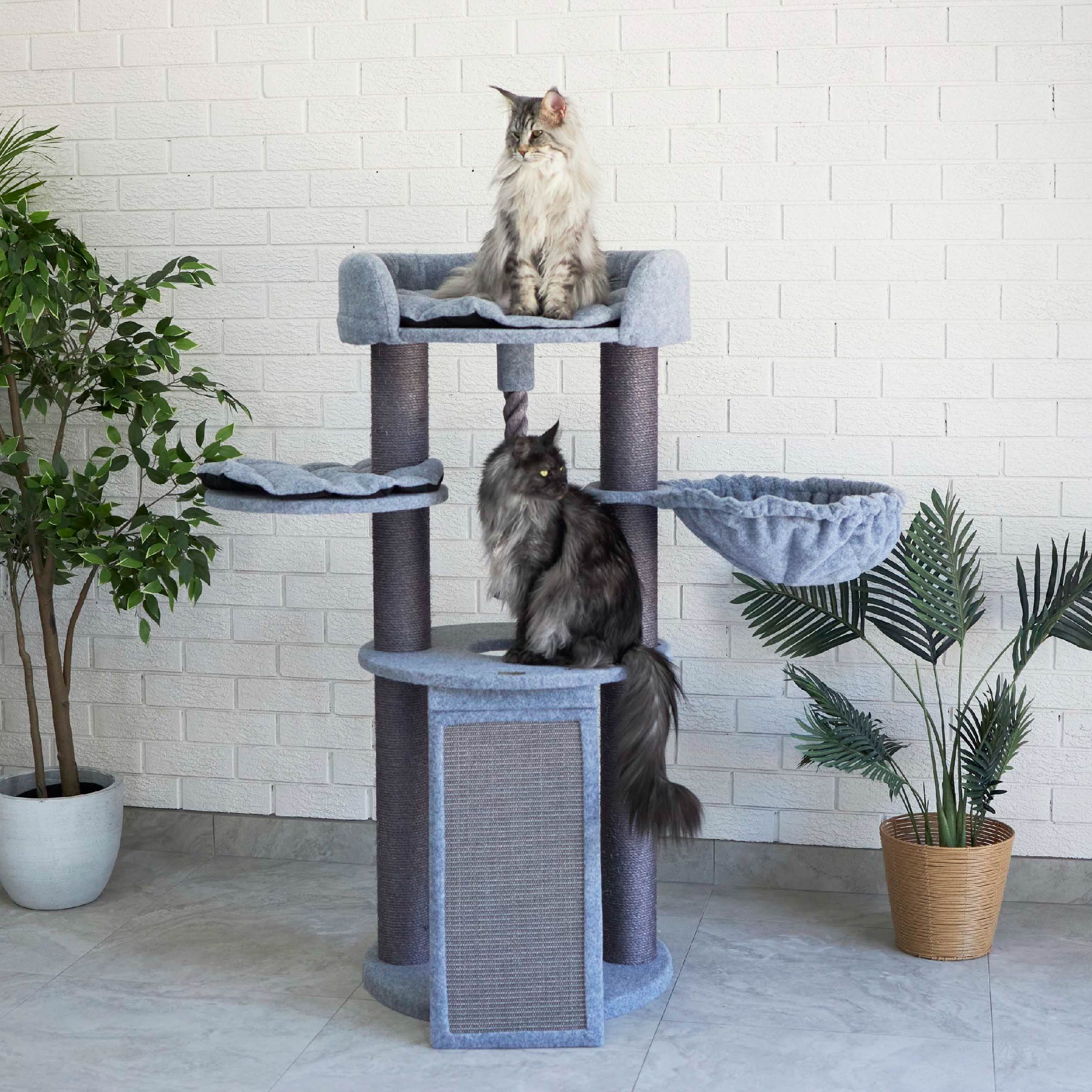 Cat Beds The purrfect range of Australia s best cat beds Kazoo Pet Co