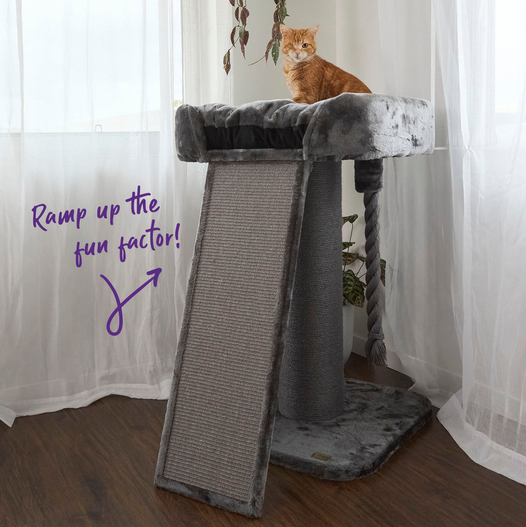 High Bed Cat Scratch Post with Ramp - Charcoal – Kazoo Pet Co