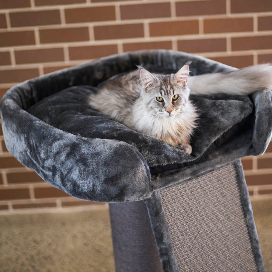 High Bed Cat Scratch Post with Ramp - Charcoal – Kazoo Pet Co