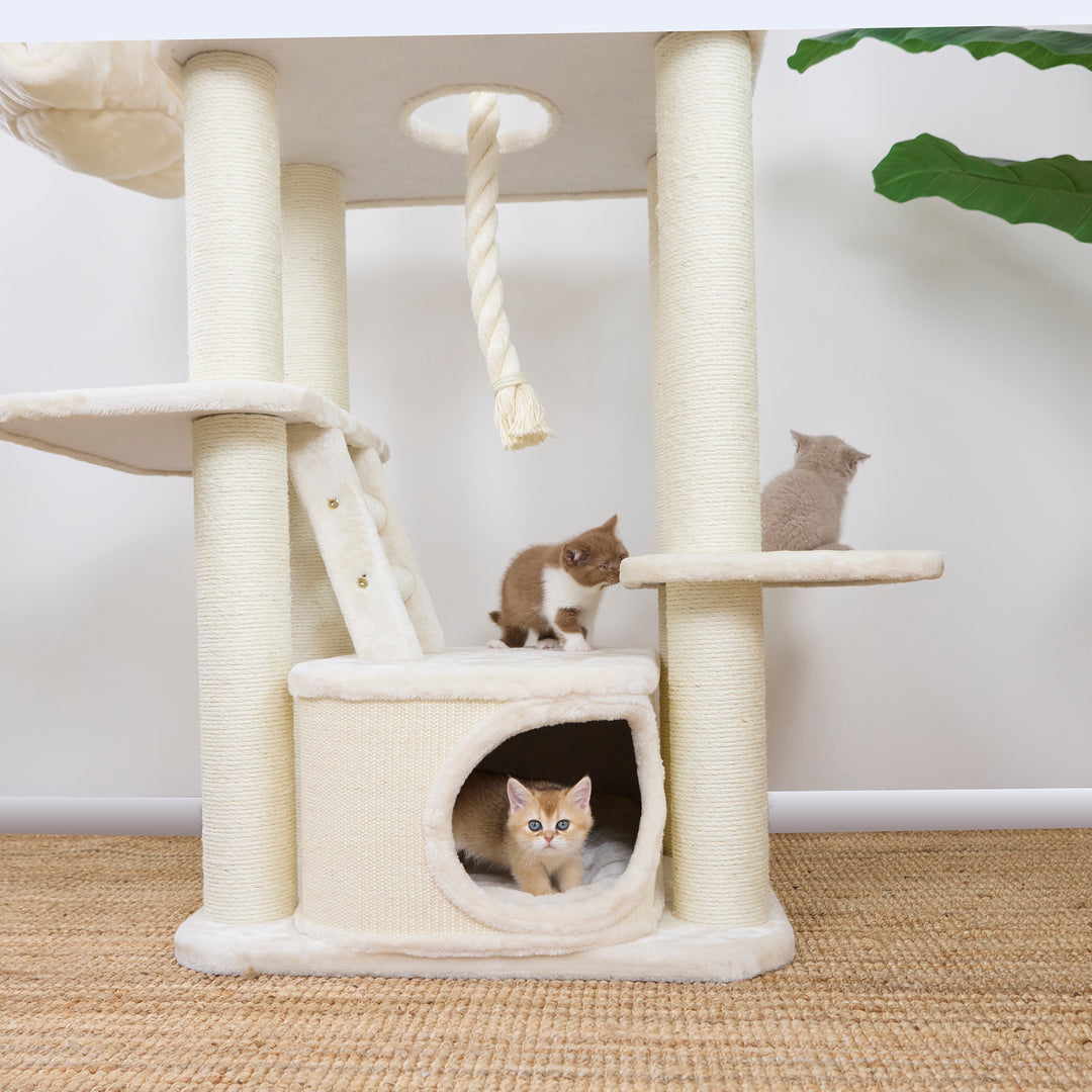 Kitty Climb Playground - Cream