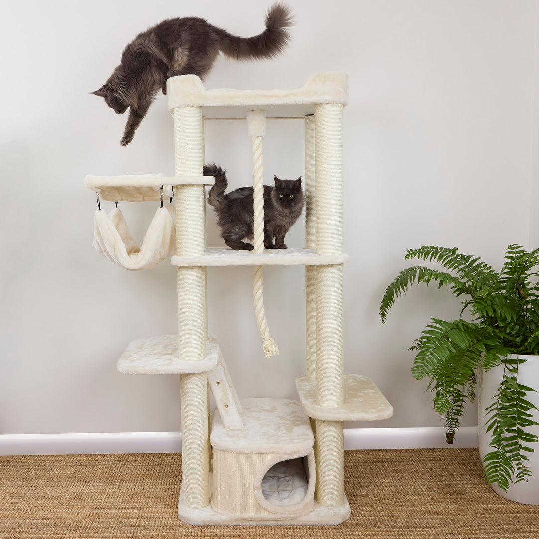 Kitty Climb Playground - Cream
