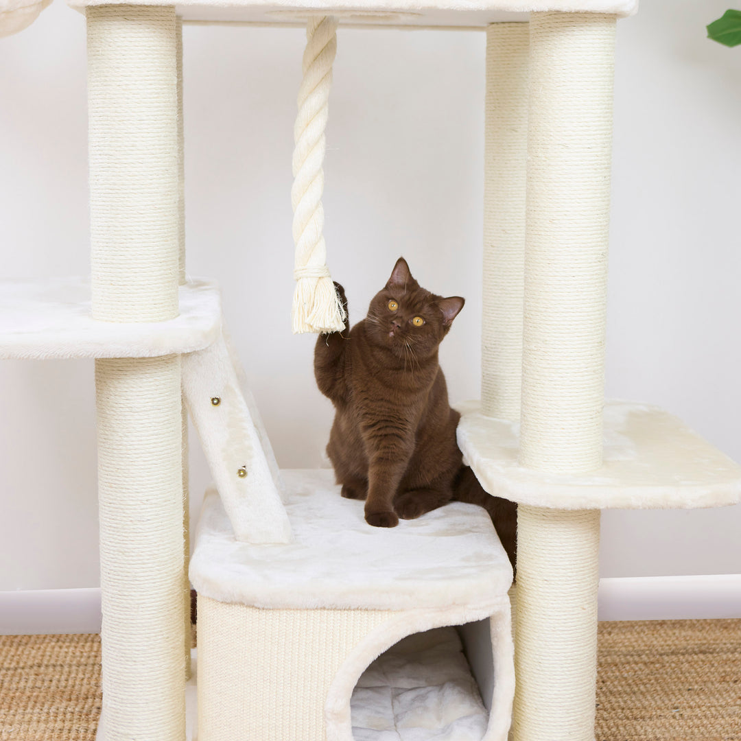 Kitty Climb Playground - Cream
