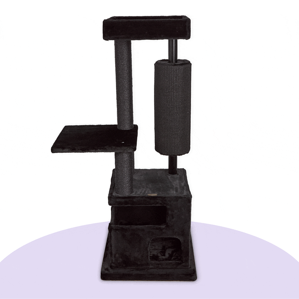 Kitty Scratch Barrel Tree Black Kazoo Pet Co