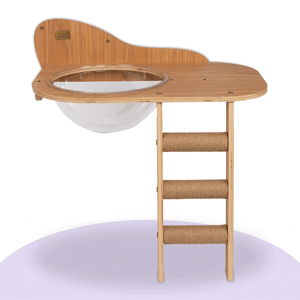 Wall Mounted Woodland Cat Loft