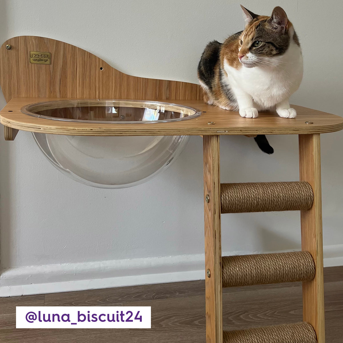 Cat | The Purrfect Place to Shop Online for Cats | Kazoo Pet Co