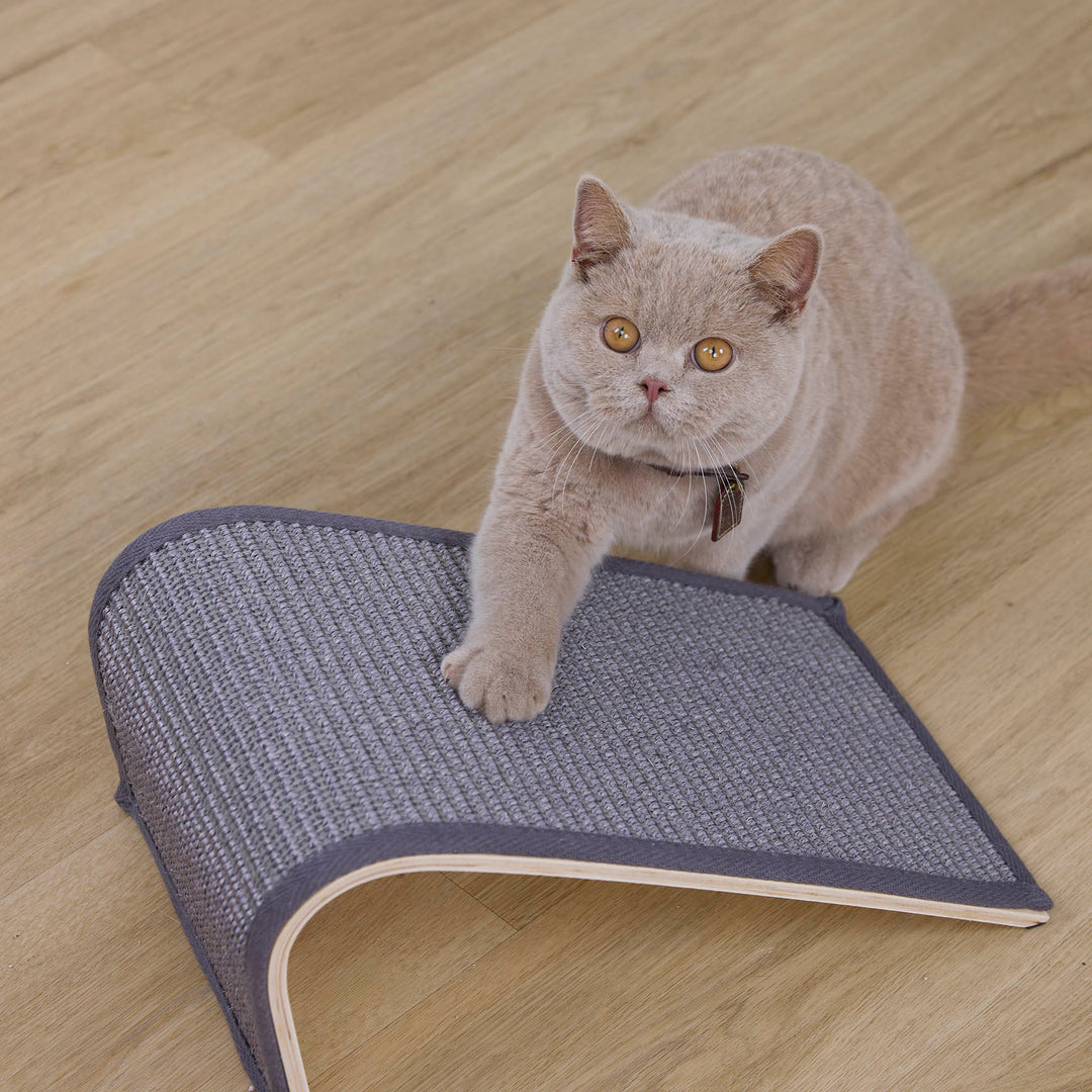 Kitty Scratch Ramp Board