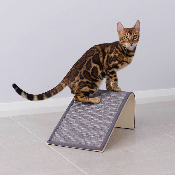 Kitty Scratch Ramp Board
