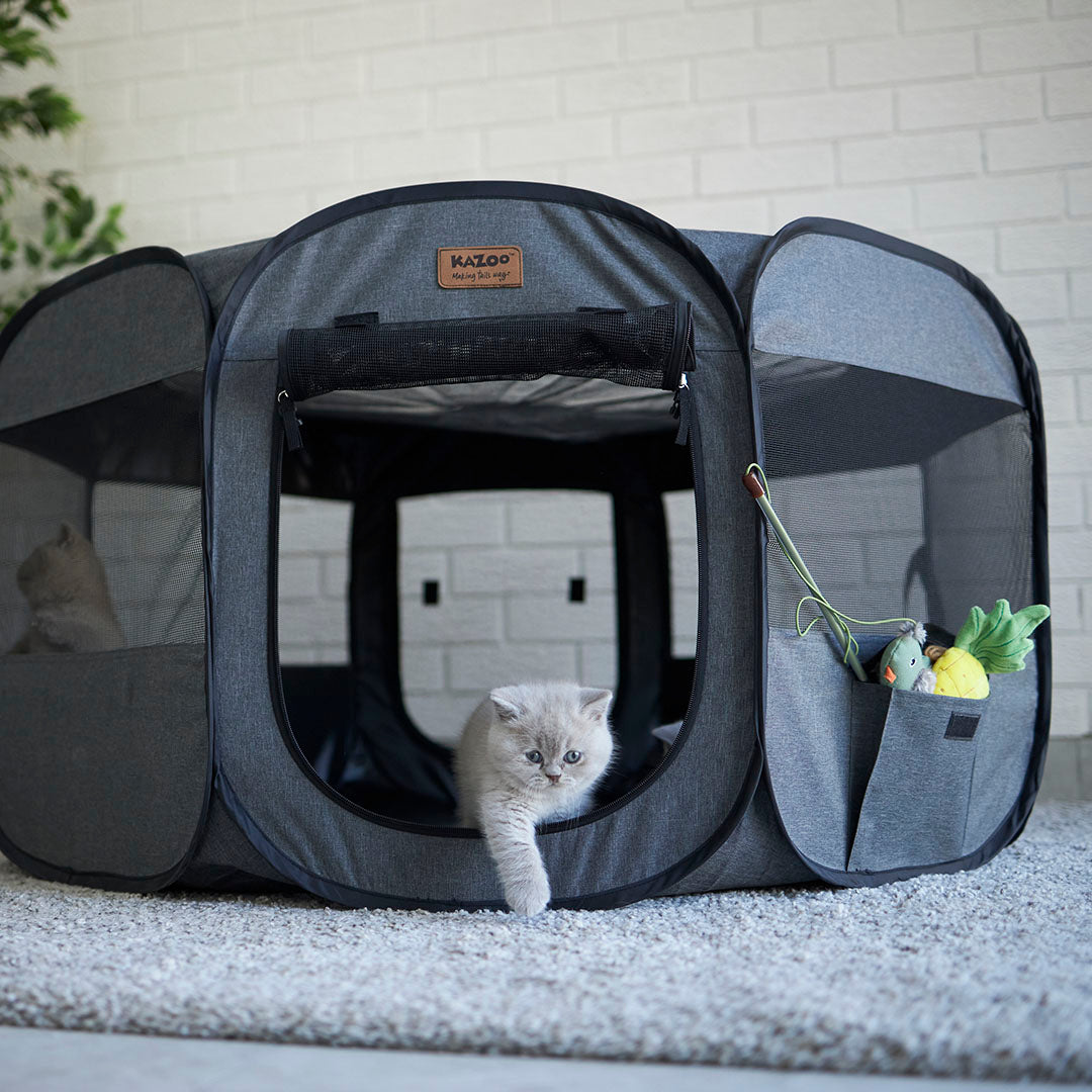 Pop up playpen for cats top