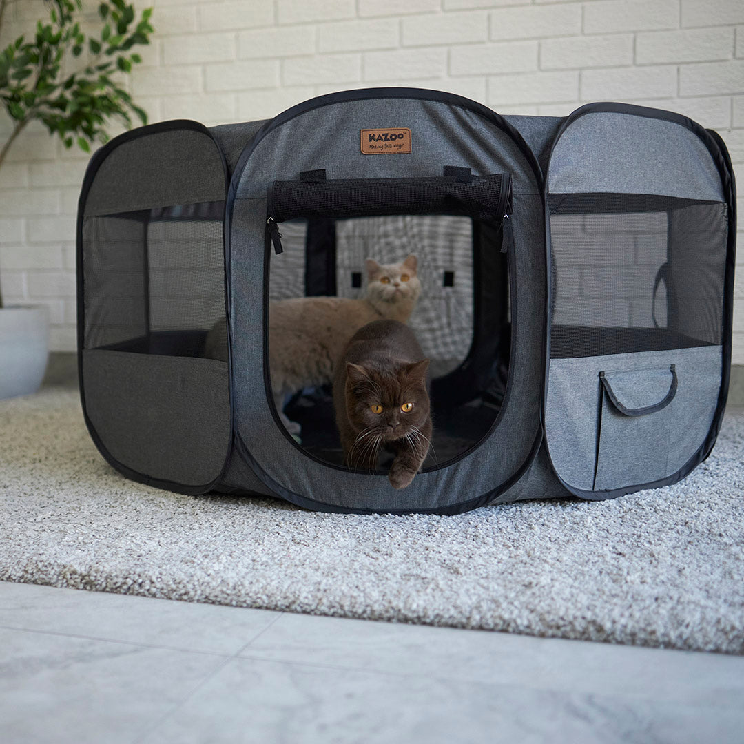 Premium Pop Up Pet Playpen Kazoo Pet Co