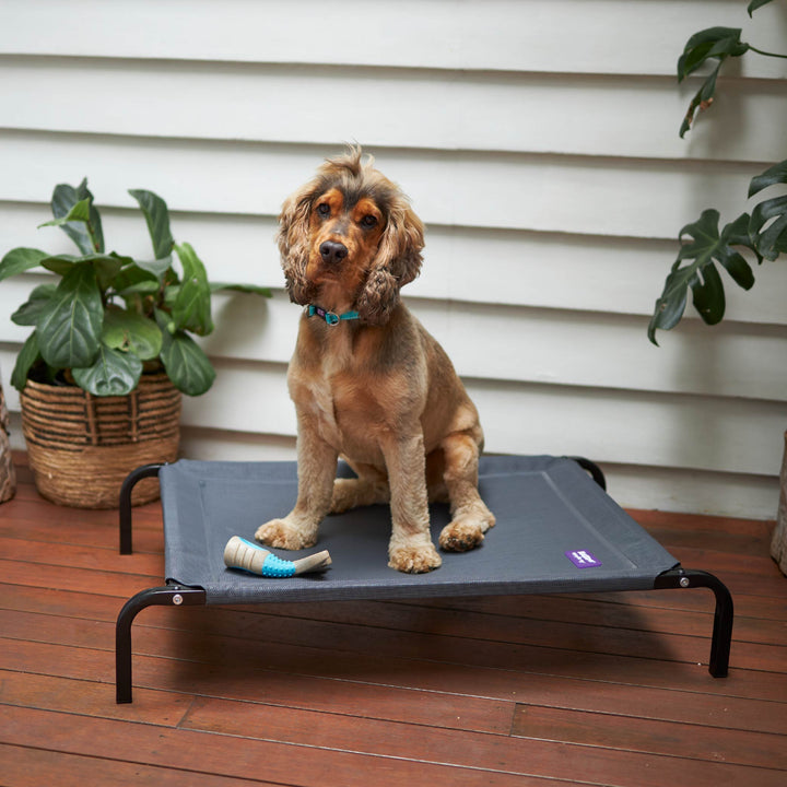 Premium Outdoor Dog Bed - Charcoal