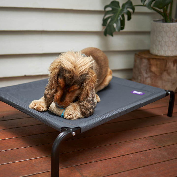 Premium Outdoor Dog Bed - Charcoal