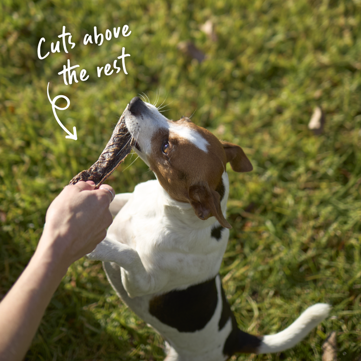 Aussie Beef Steak Strips Dog Treats