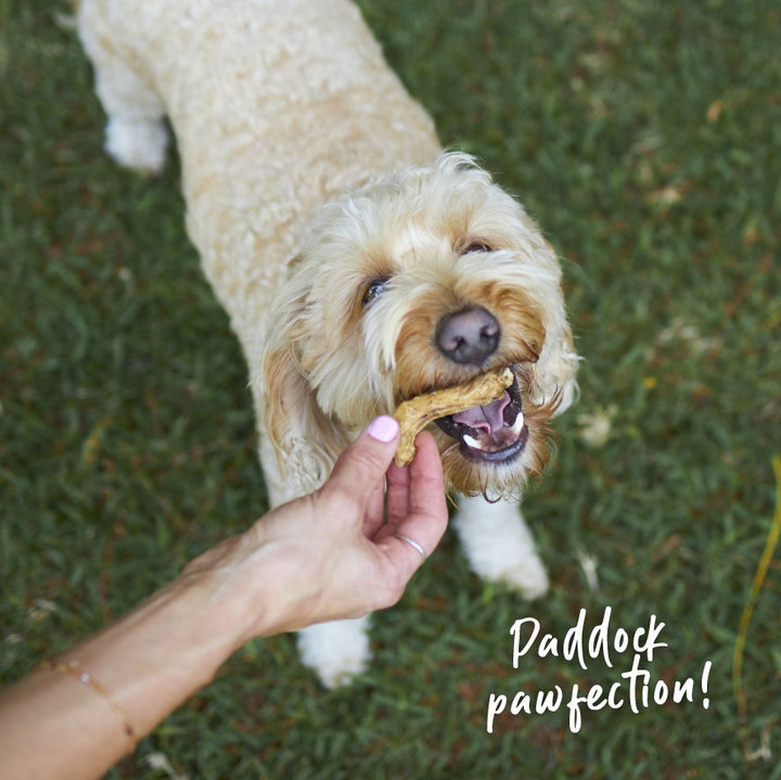 Aussie Chicken Necks Dog Treats