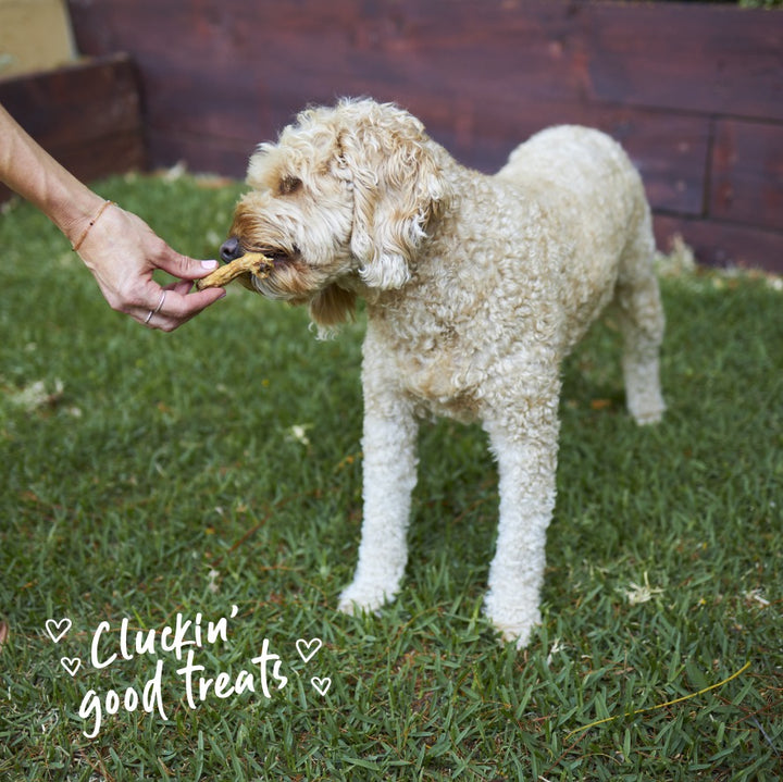 Aussie Chicken Necks Dog Treats