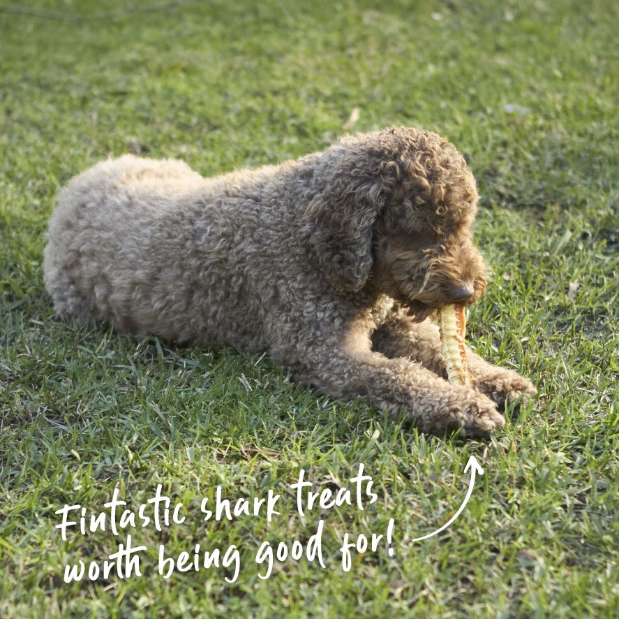 Aussie Shark Cartilage Dog Treats