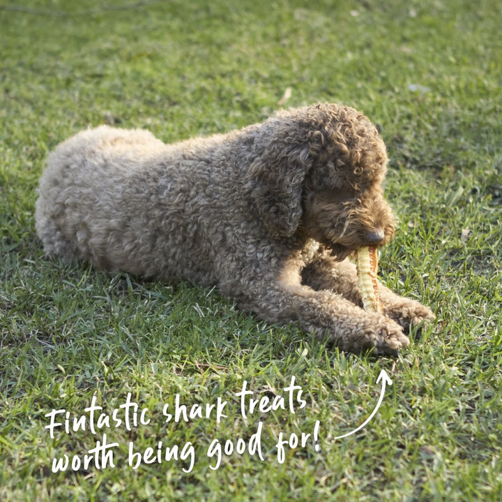 Aussie Shark Cartilage Dog Treats