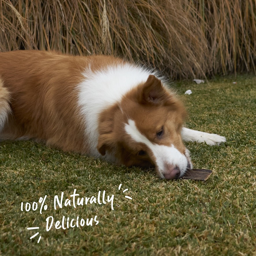 Aussie Kangaroo Steak Strips Dog Treat