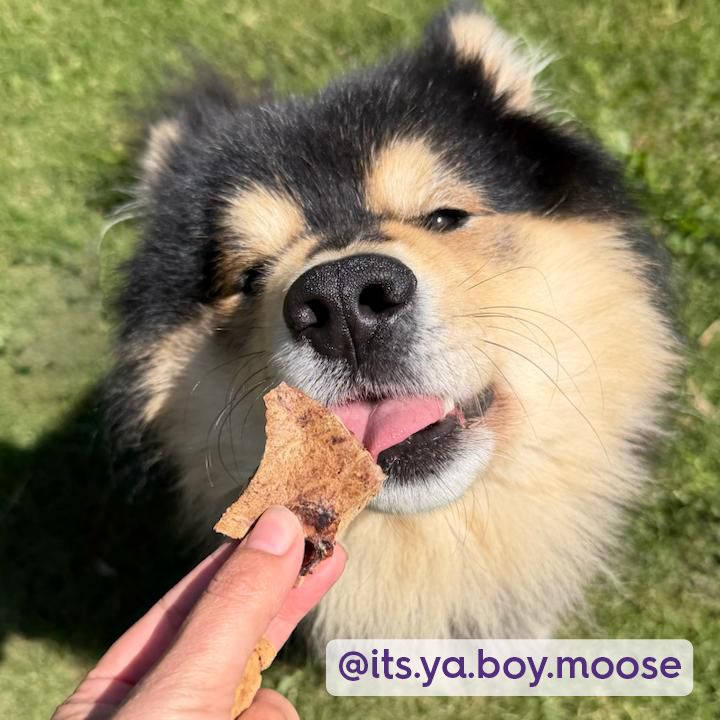 Aussie Lamb Lung Crisps Dog Treats