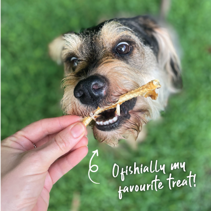 Aussie Shark Cartilage Value Pack - 1kg