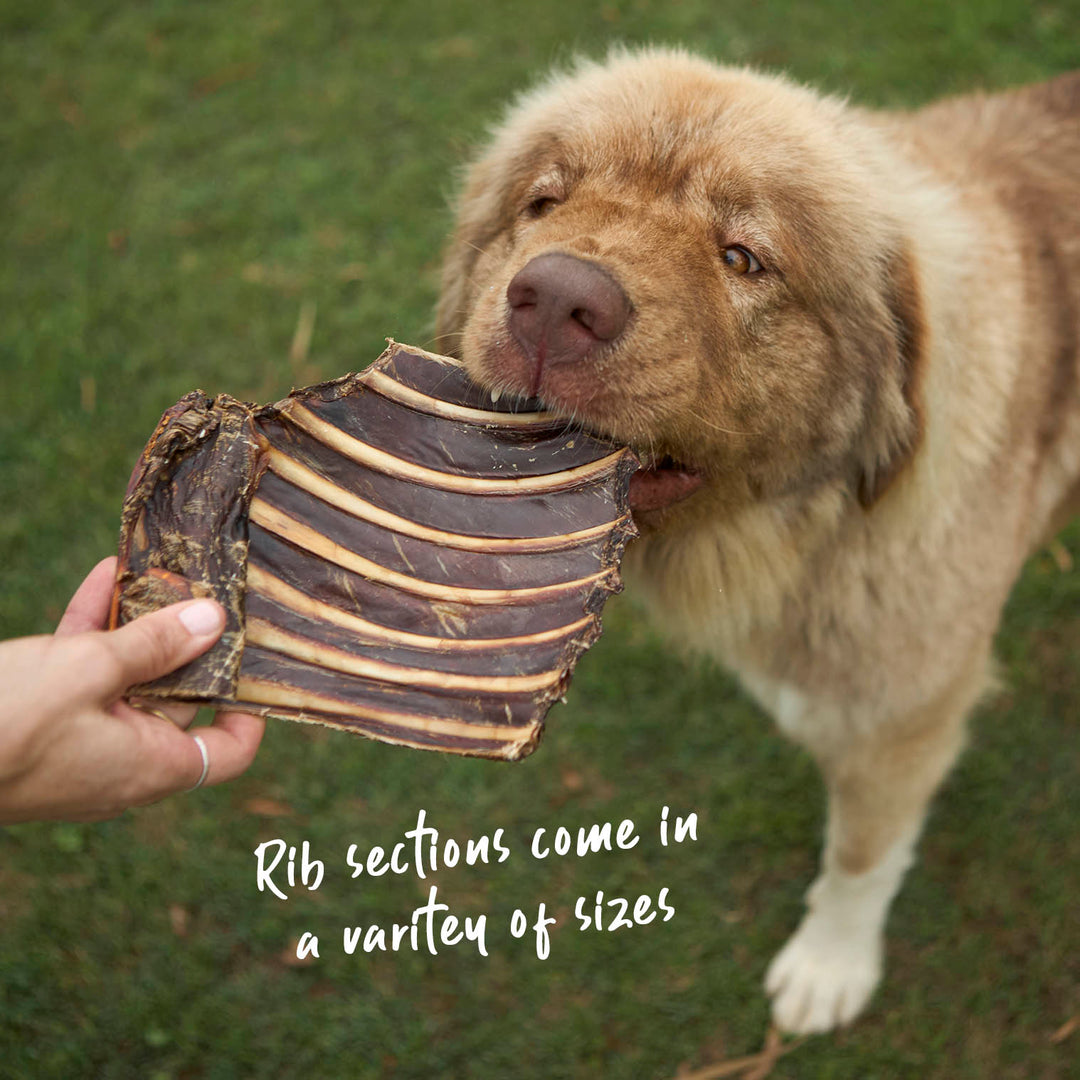 Aussie Kangaroo Ribs Value Pack - 1kg