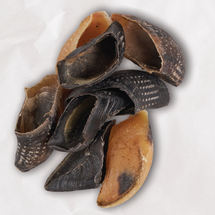 Aussie Cow Hooves Value Pack - 30pk