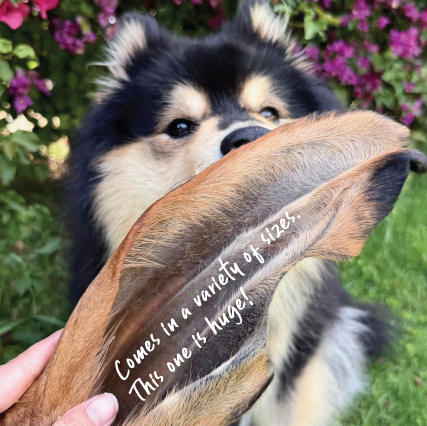 Aussie Furry Wagyu Ears Value Pack - 30pk