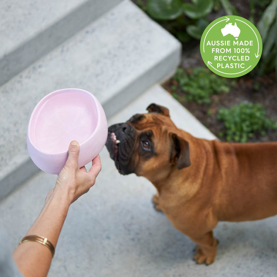 Better Bowl For Dogs - Musk Pink