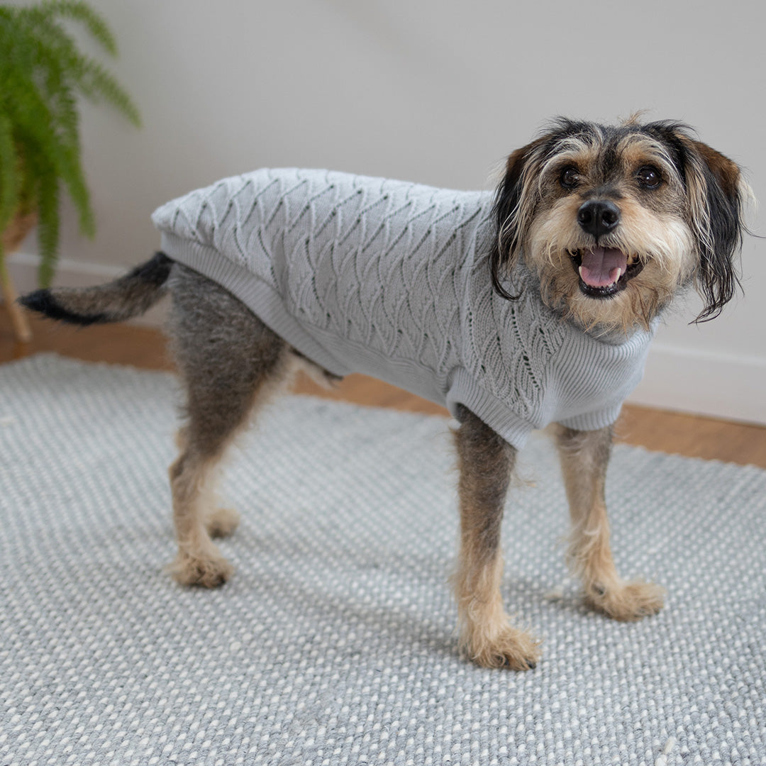 Grey Wave Dog Jumper – Kazoo Pet Co