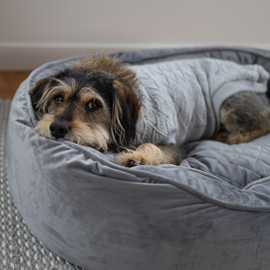 Kazoo Gray Wave Dog Jumper – Kazoo Pet Co