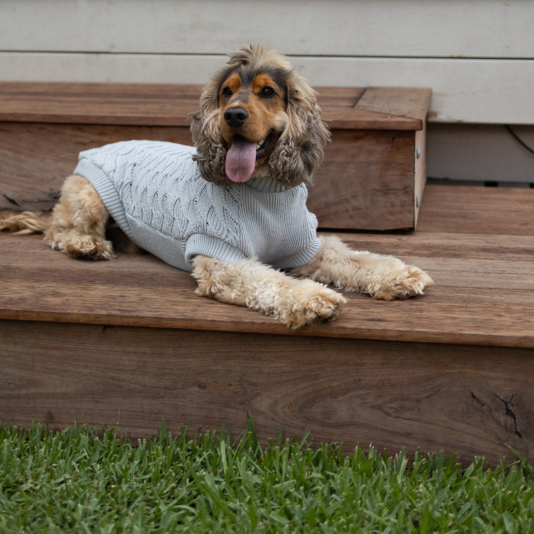 Kazoo Gray Wave Dog Jumper – Kazoo Pet Co
