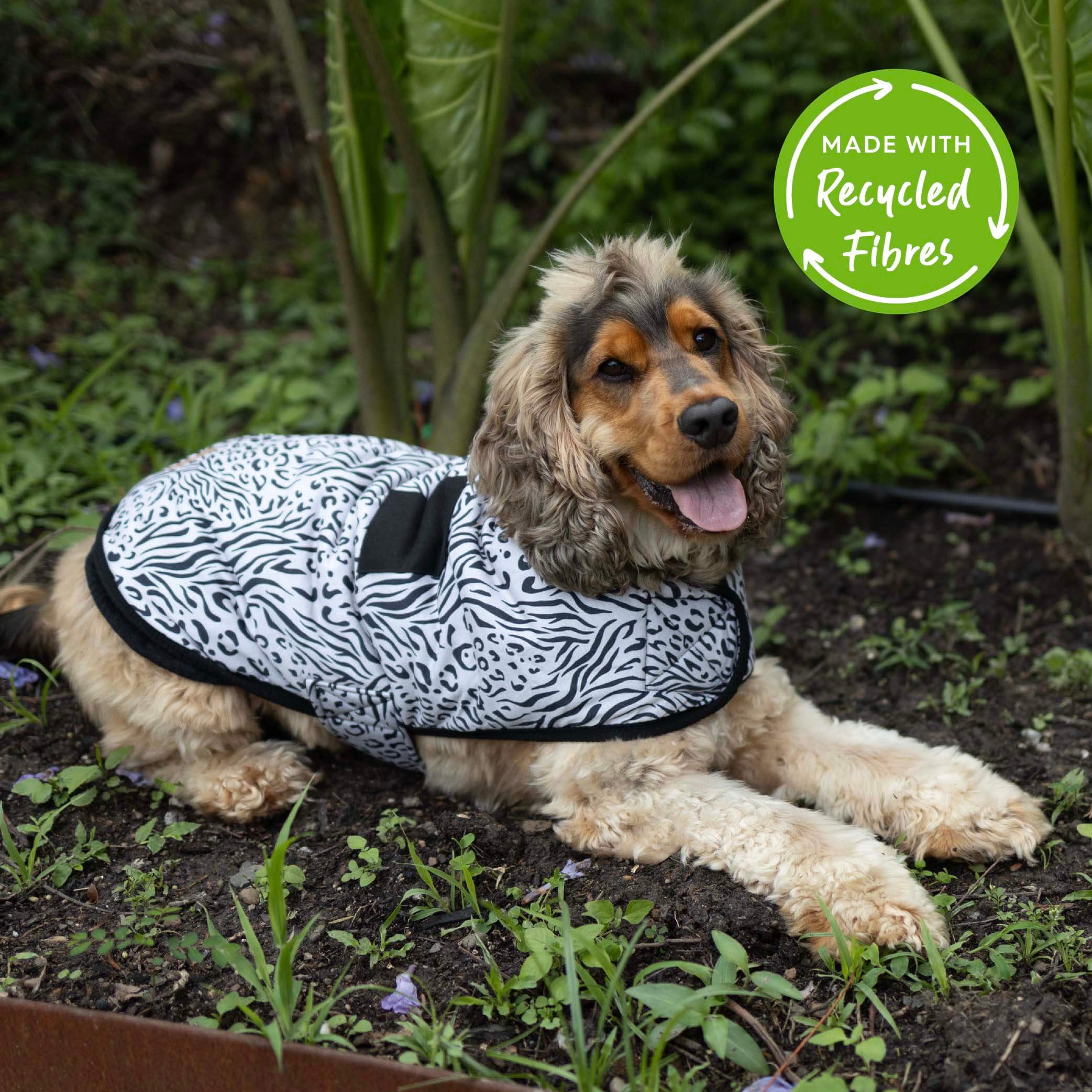 Kazoo dog coats hot sale