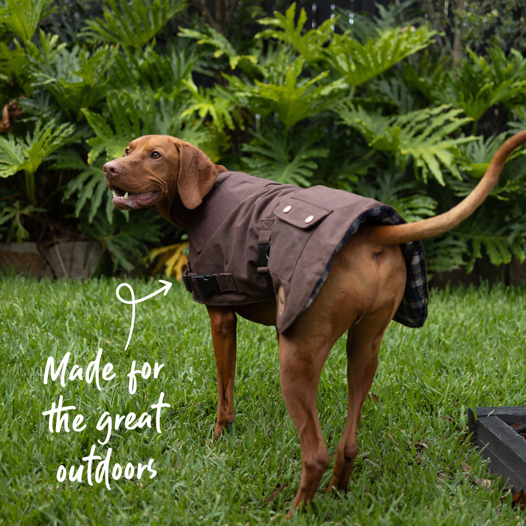Aussie Oilskin Dog Coat - Brown