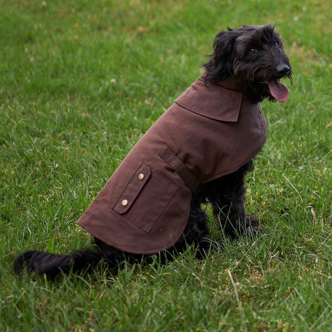 Aussie Oilskin Waterproof Dog Coat - Brown