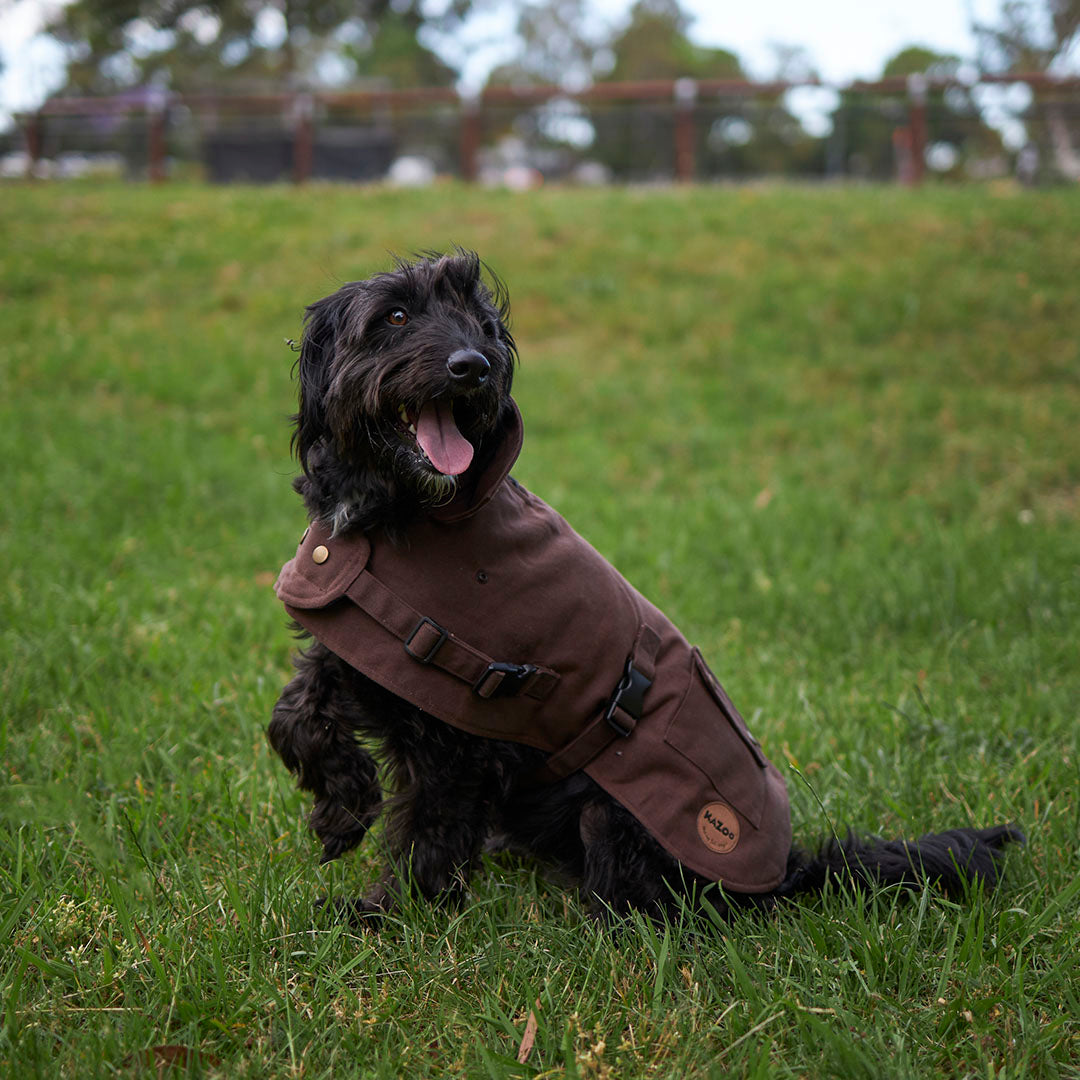Aussie Oilskin Waterproof Dog Coat - Brown