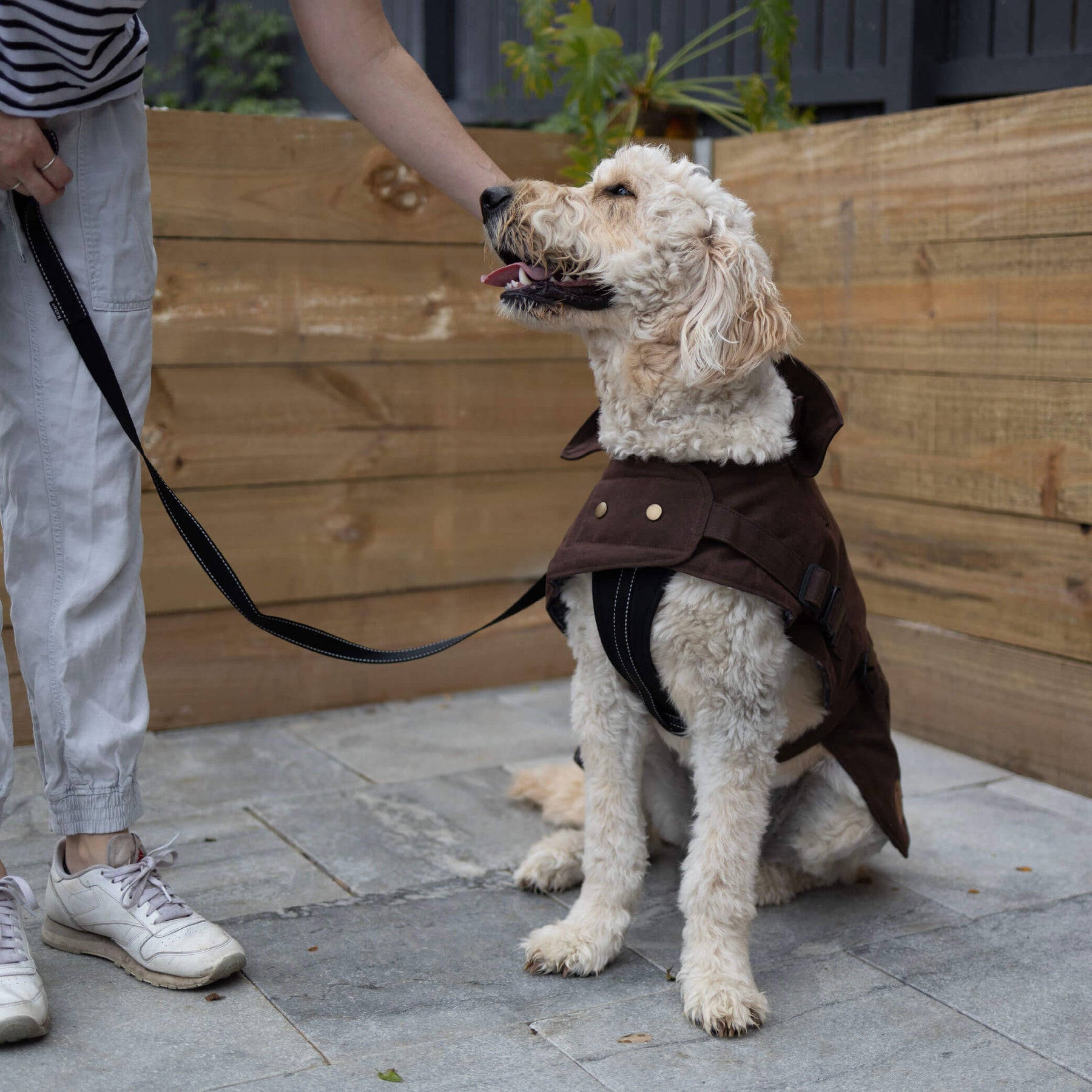 Aussie Oilskin Dog Coat Brown Kazoo Pet Co