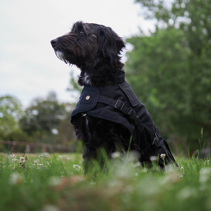 Aussie Oilskin Waterproof Dog Coat - Black