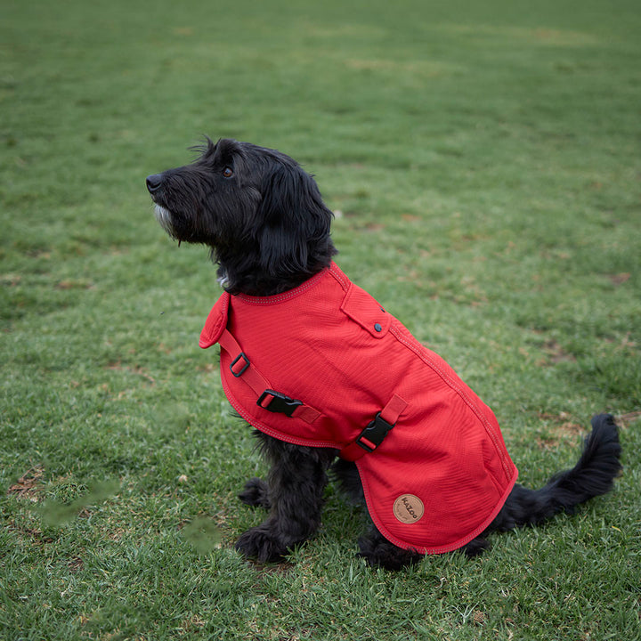 Adventure Dog Coat with Harness Hatch - Red