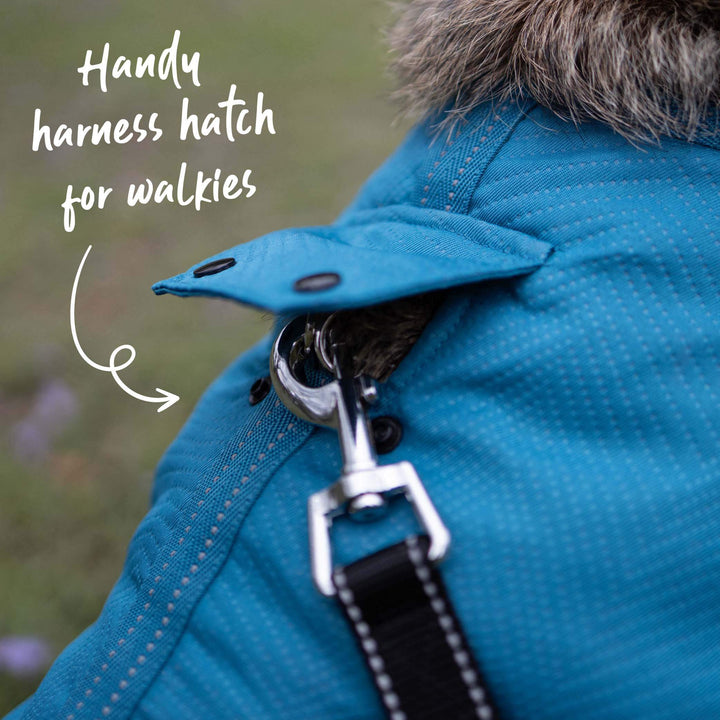 Adventure Dog Coat with Harness Hatch - Blue